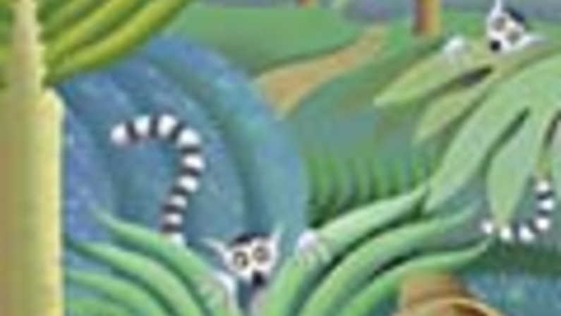 Madagascar and Me