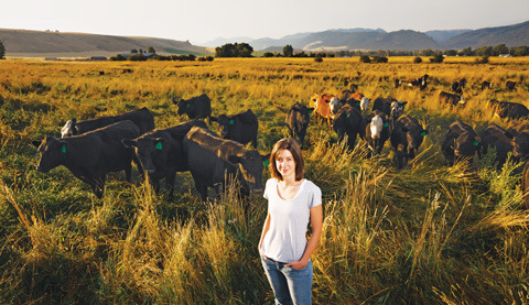 At Home On the Range