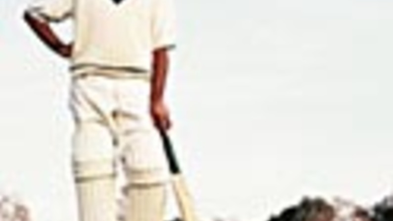 Cricket Fans Chirping Again