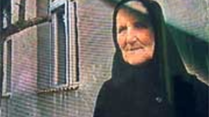 A United Nations of Film