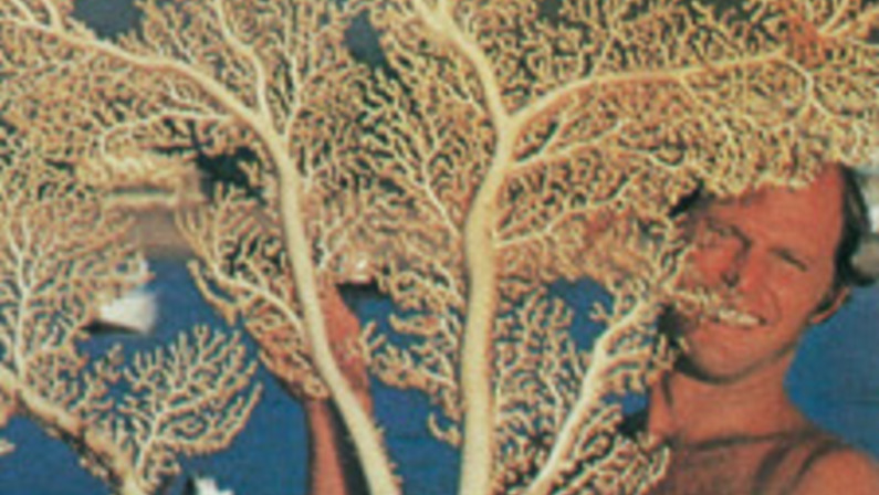 Big-Wave Surfer and Oceanographer