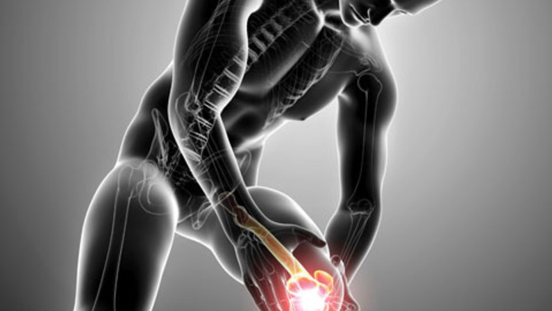 Can Knee Cartilage Be Regrown?
