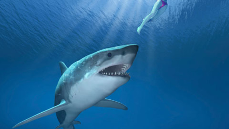 Losing Its Bite
