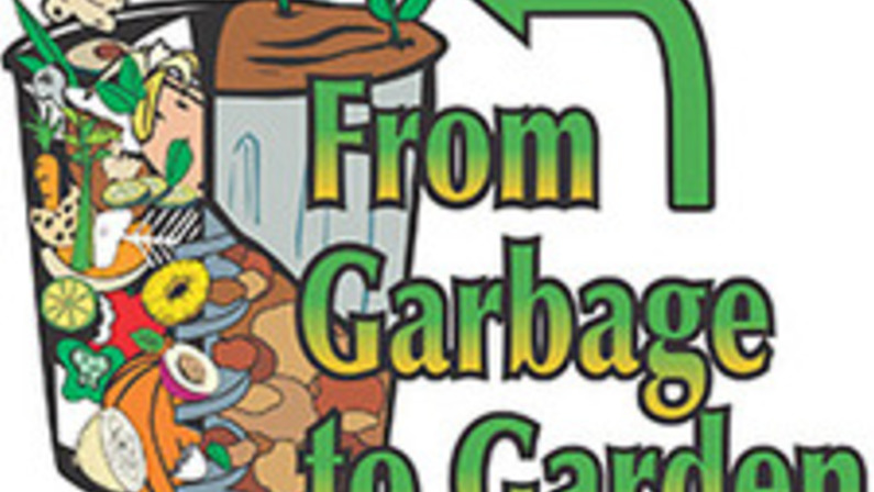Leftovers--Into the Trash or Kitchen Disposal? Nitty-gritty