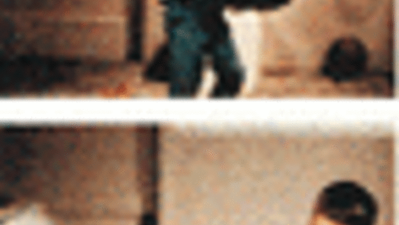 The Best Place to Go'