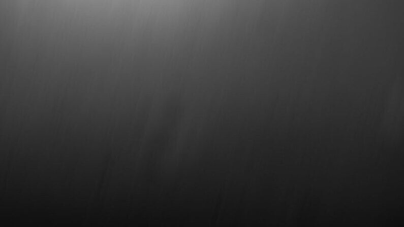 Meet the New Mr. Met