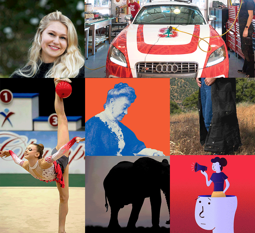 Our Top Stories of 2018