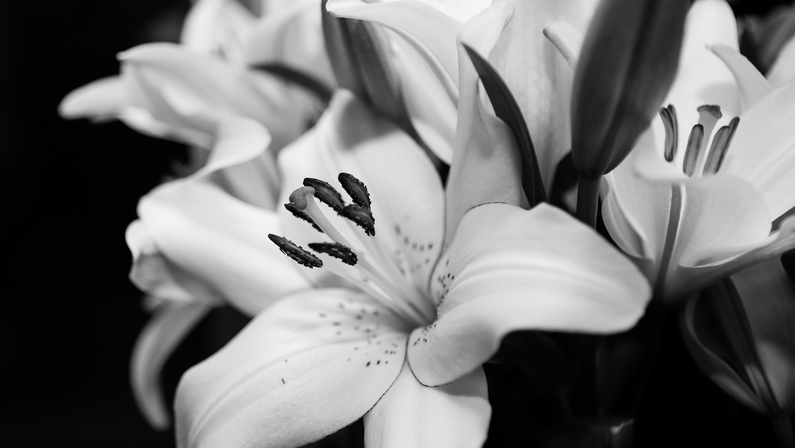 Obituaries - May 2019