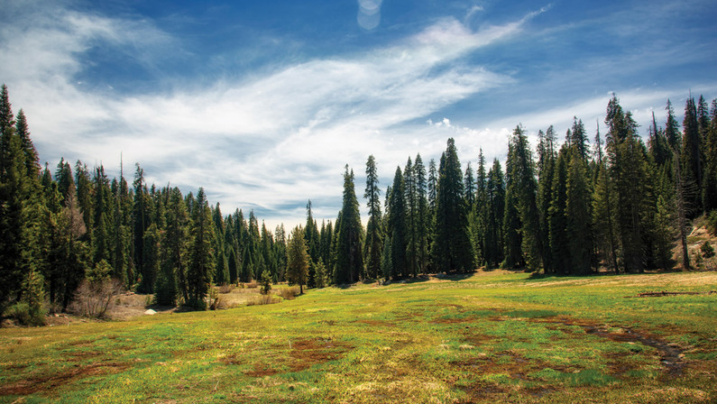 What the Wilderness Letter Wrought