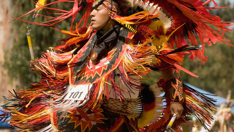 50 Years of Powwow