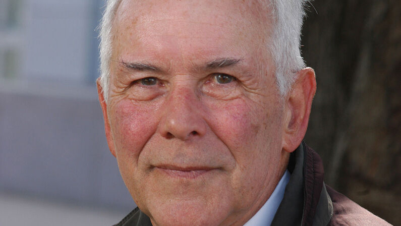 Renowned Expert in Composite Materials