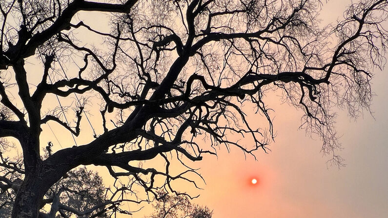 Won’t You Still Be My Neighbor?