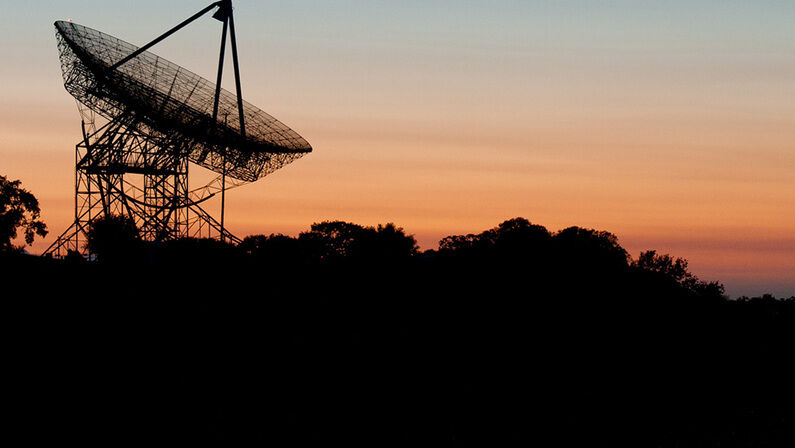 Nerdball; plant defense; Olympic medalists