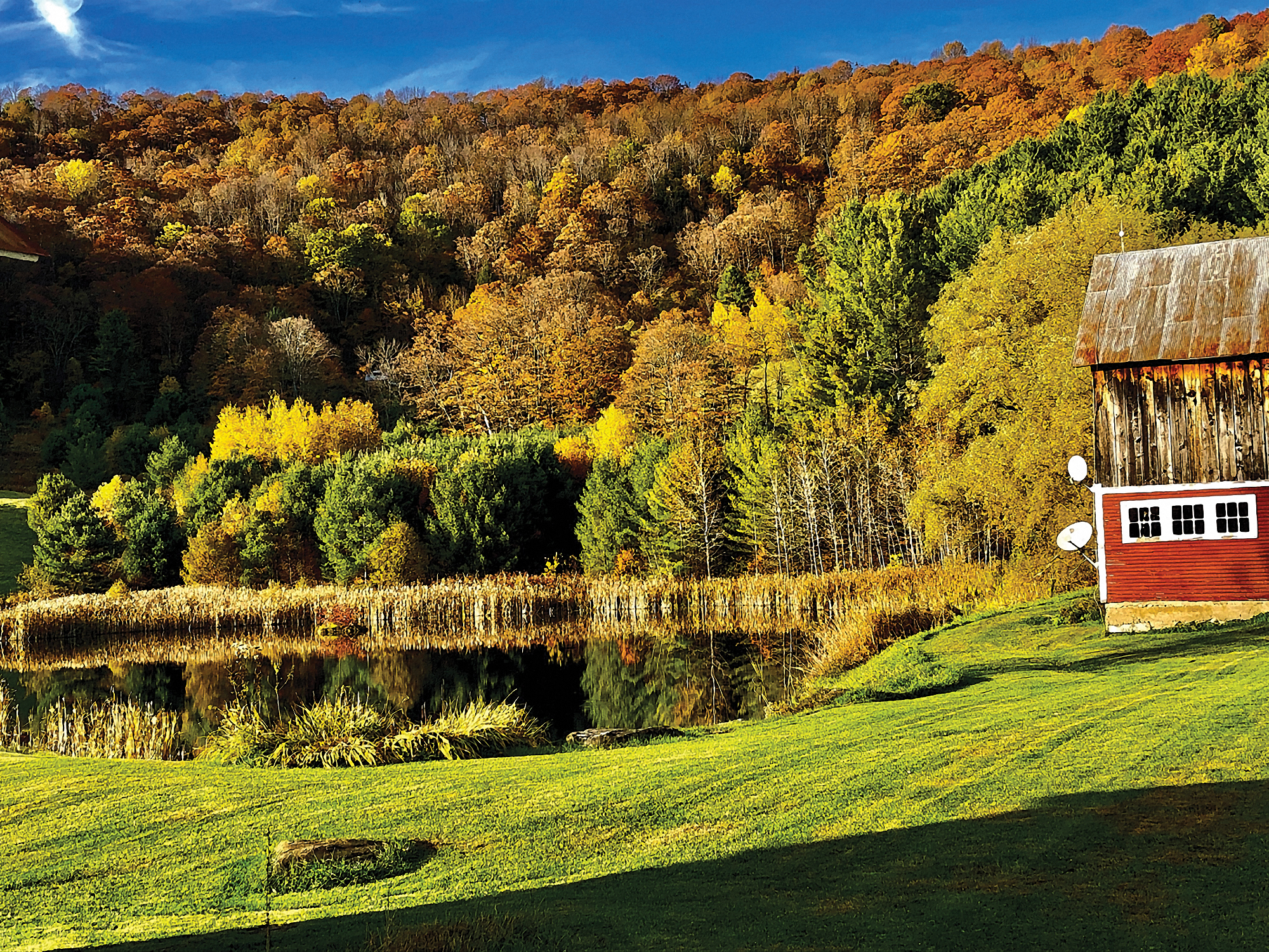 Fall-colored trees, a pond, and a barn