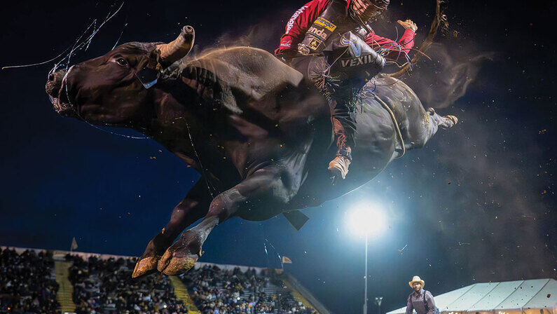 Not His First Rodeo