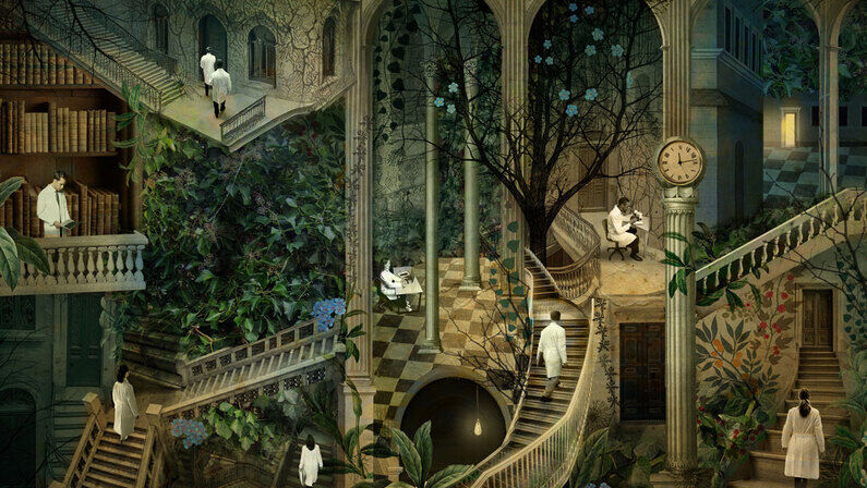 The Search