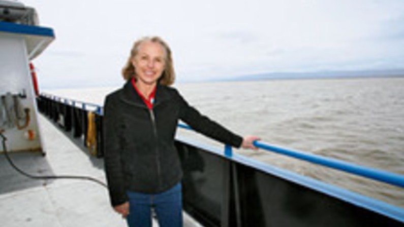 Bringing Learning to the Bay