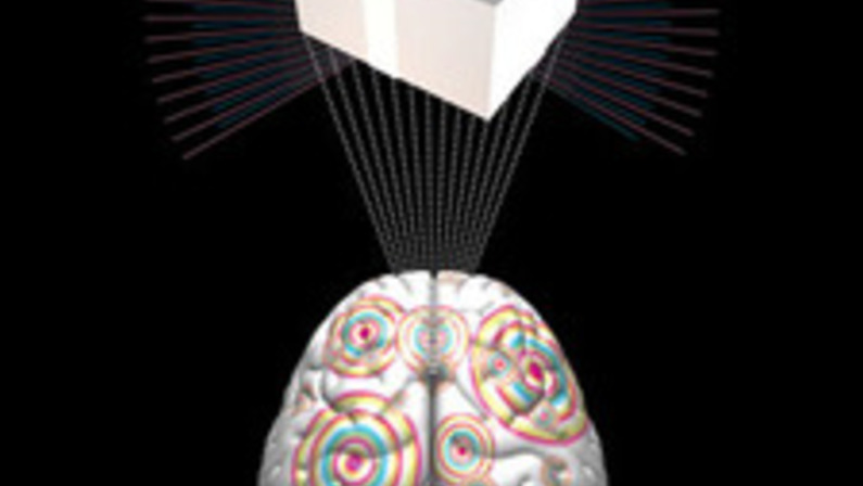 This Is Your Brain on Bargains