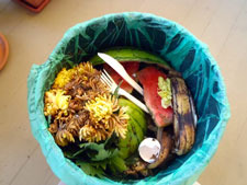 Biodegradable Products