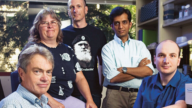 Stone Age Gene Swap