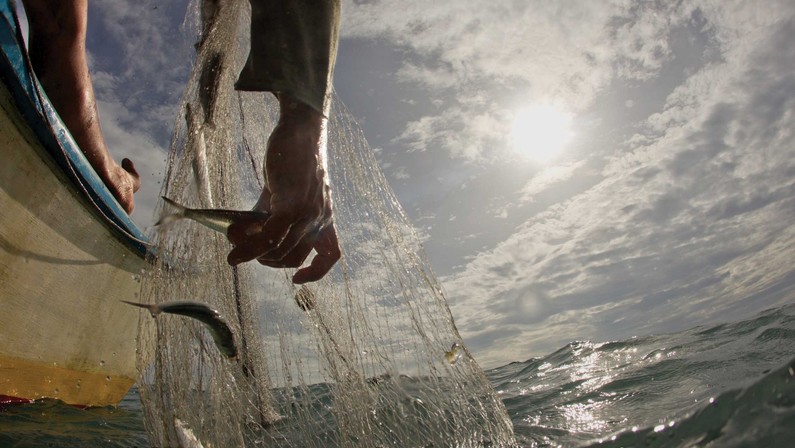 Help the People, Save the Fish