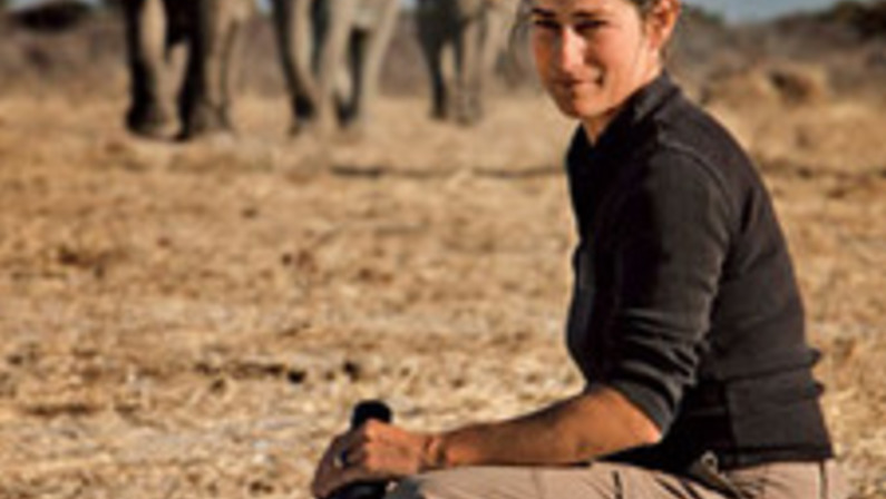 What Makes Elephants Tick?