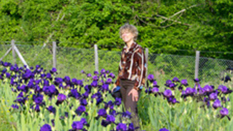 In Full Bloom