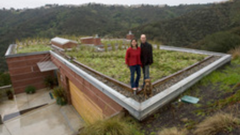 Home, Green Home