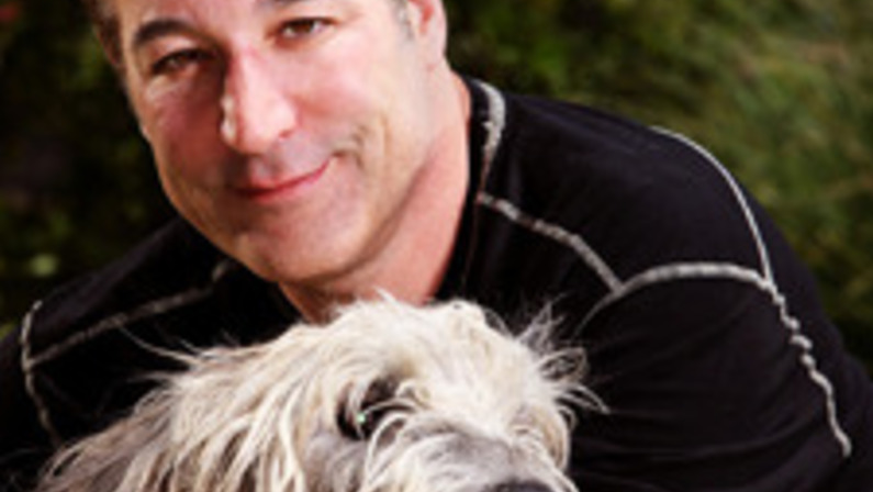 "Simpsons" Creative Force