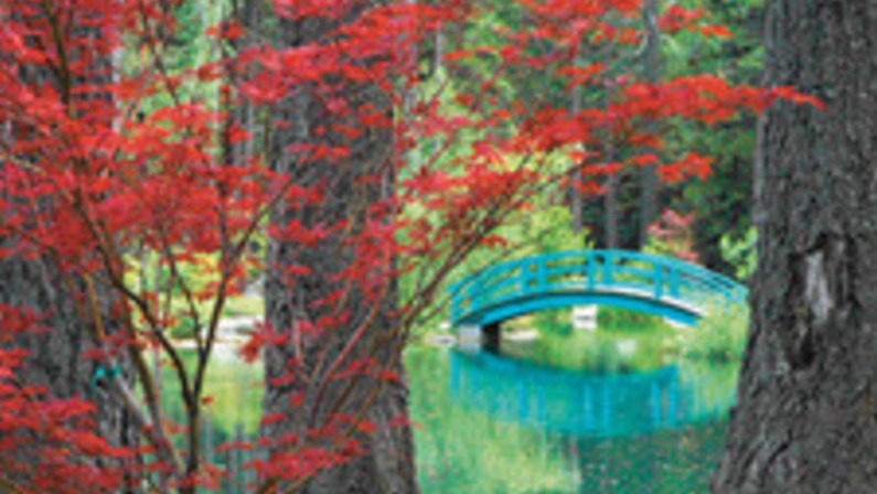 Guided by Giverny