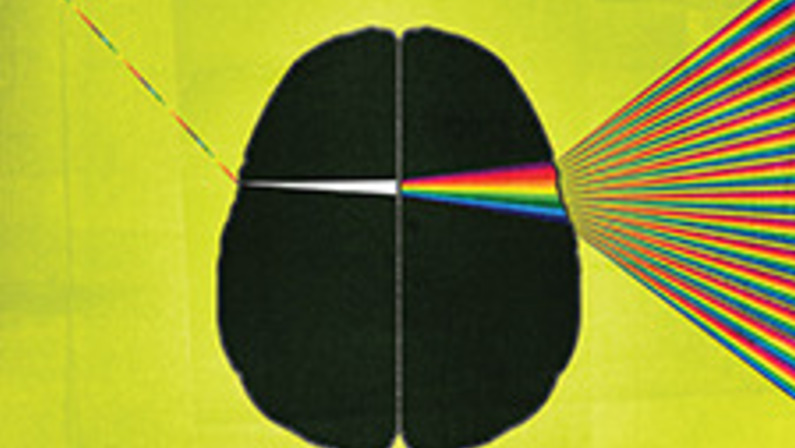 New Light on the Brain