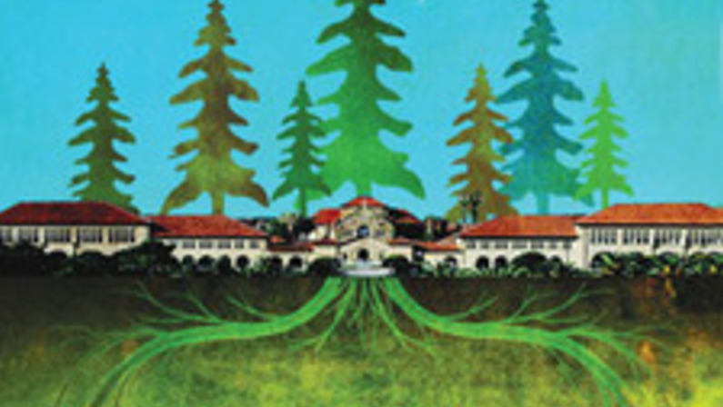 How Green Is My Quadrangle