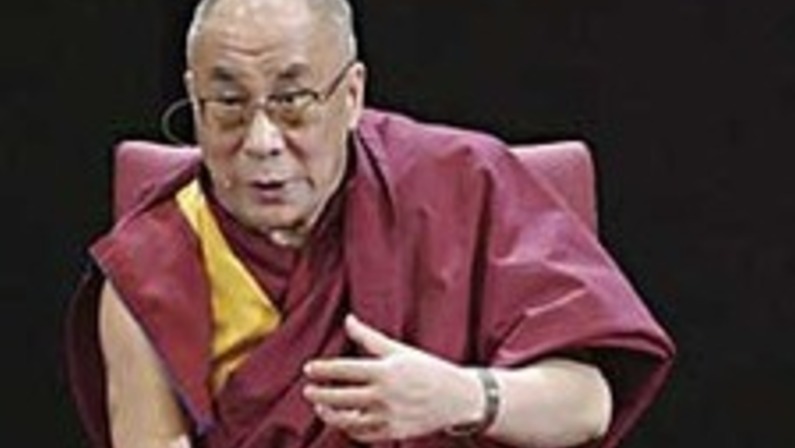On Nonviolence and Neuroscience