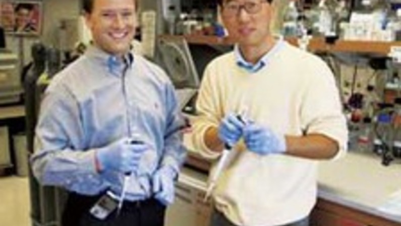 A Diabetes Discovery