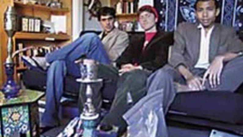 Exhibitionists