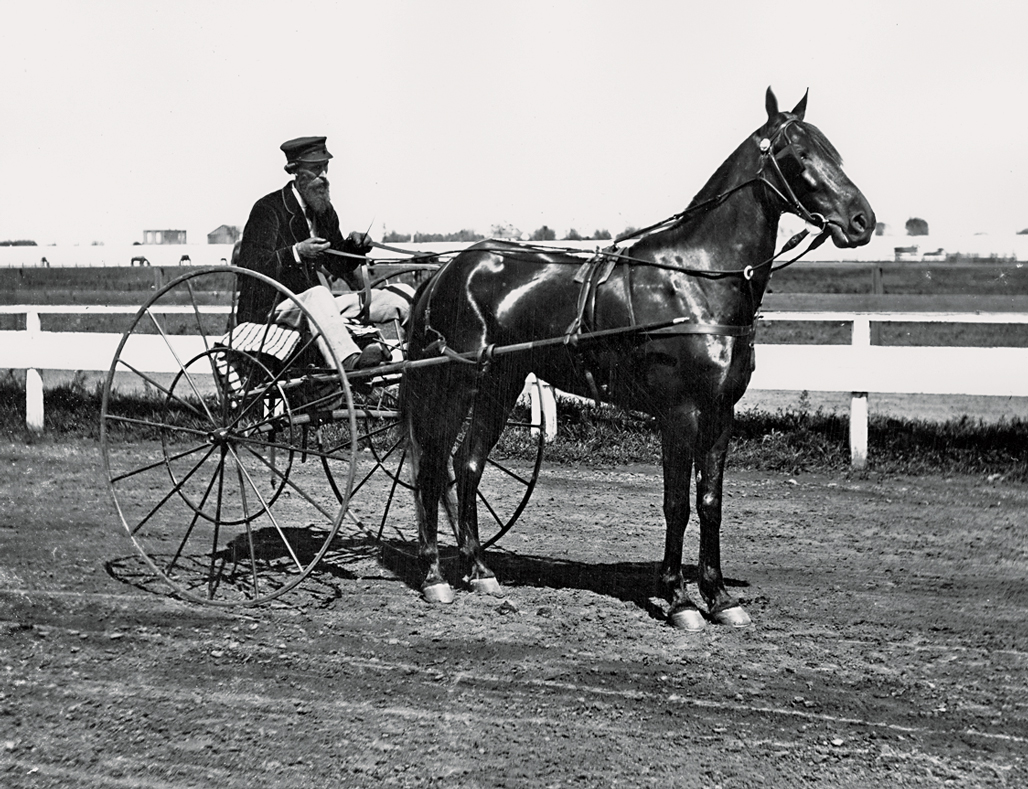 What You Don’t Know About Leland Stanford’s Horses