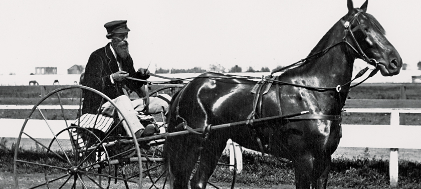 What You Don’t Know About Leland Stanford’s Horses