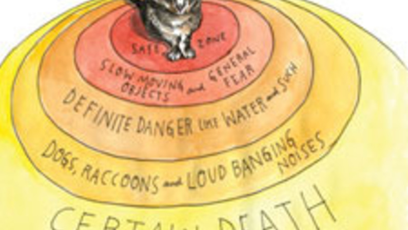 Curiosity Thrilled the Cat