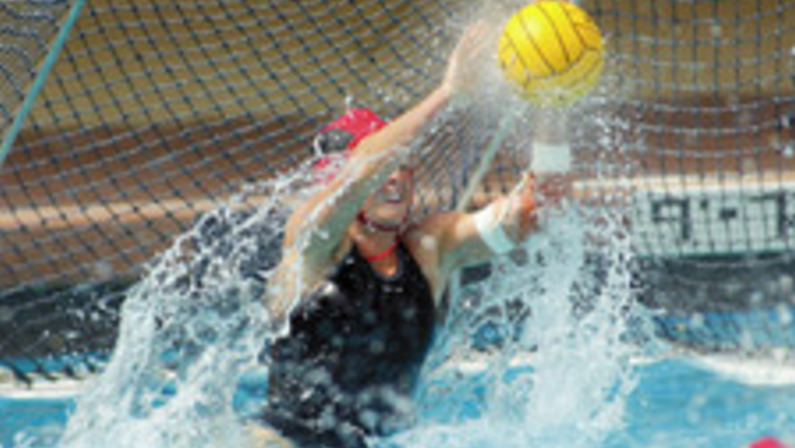 Seniors Enter International Waters