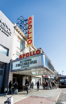 Stanford in NY - Apollo