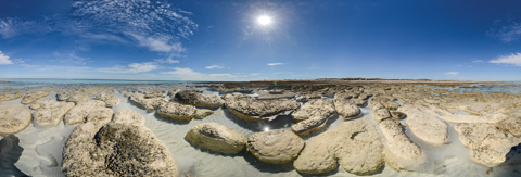 Hamelin Pool