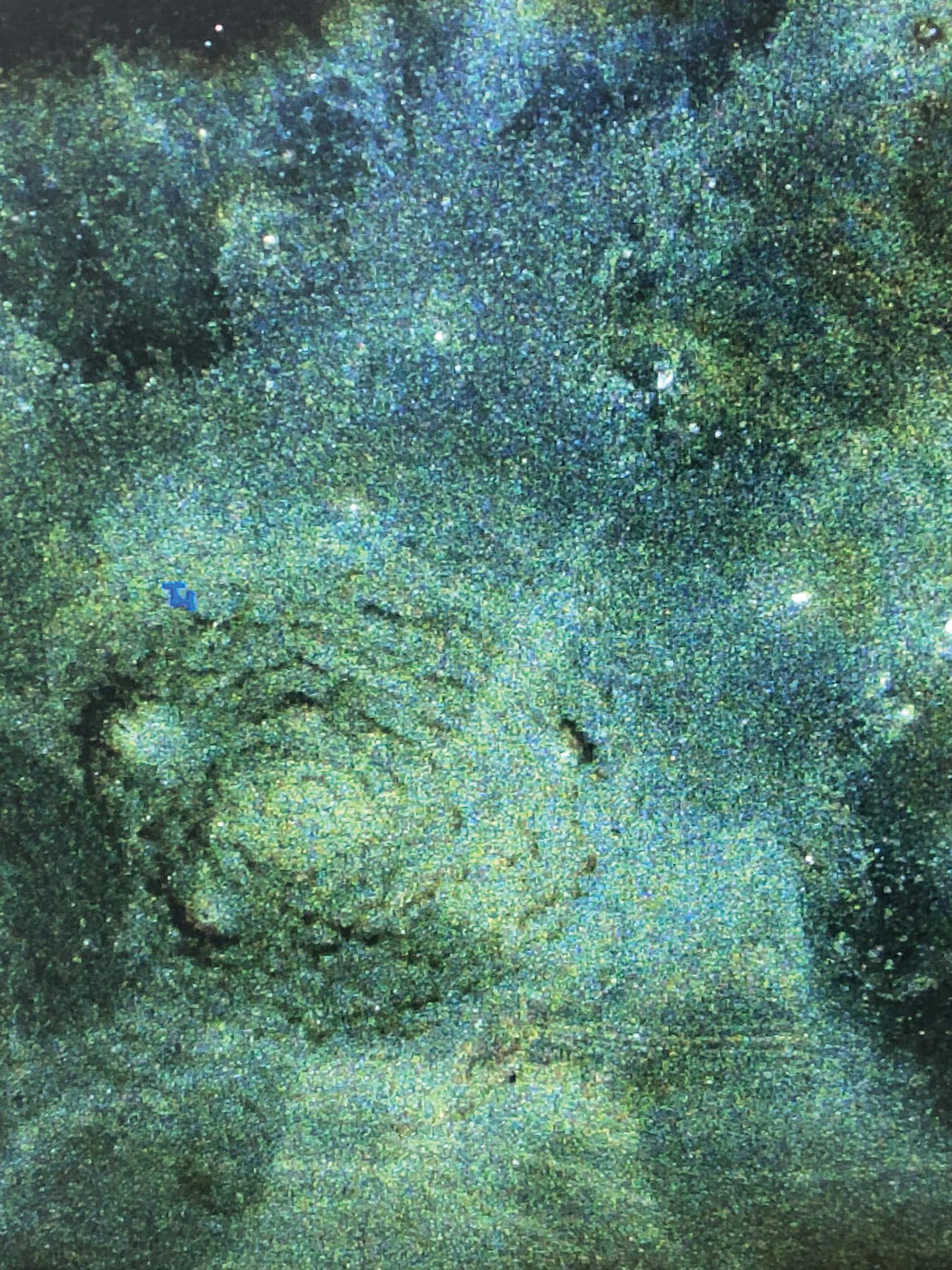 Closeup photo of soil carbon.