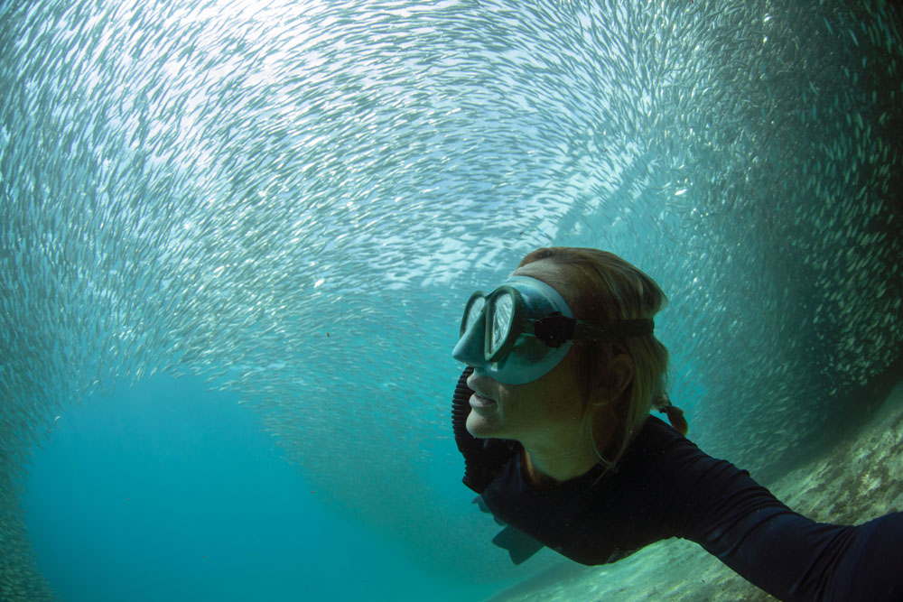 Diver swimming underneath a school of fish in the ocean.