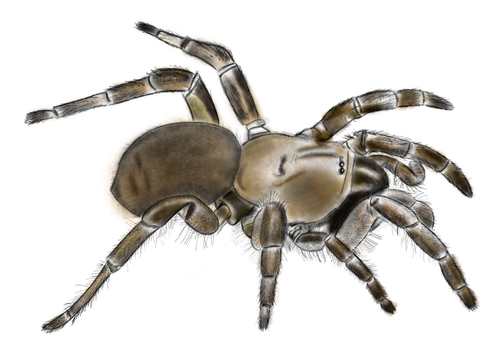 Natural Namesakes STANFORD magazine