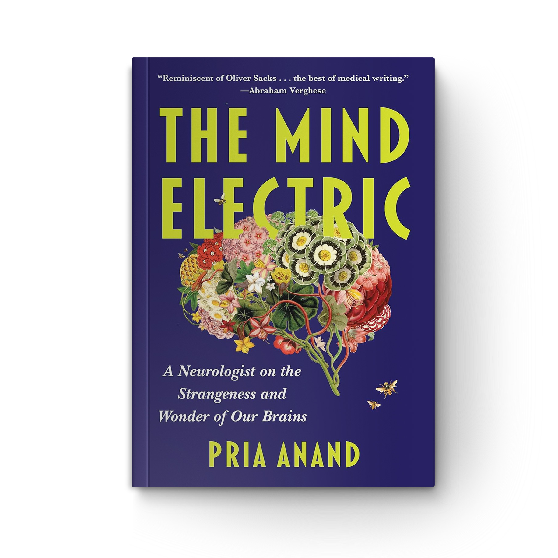 The Mind Electric: A Neurologist on the Strangeness and Wonder of Our Brains book cover
