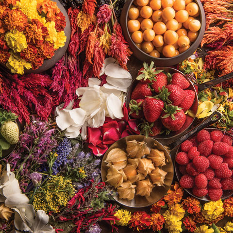 Spices
