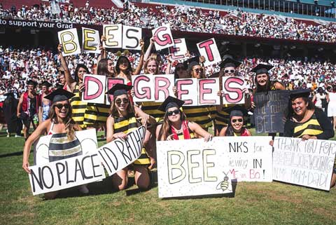 Commencement - bees