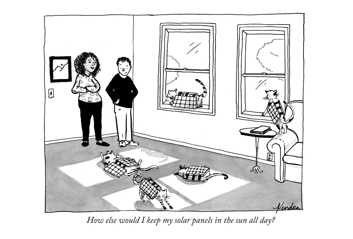 Allenby's black-and-white cartoon of cats wearing solar panels and lounging in patches of sunlight around a living room. Two people gaze at them. Caption: "How else would I keep my solar panels in the sun all day?"