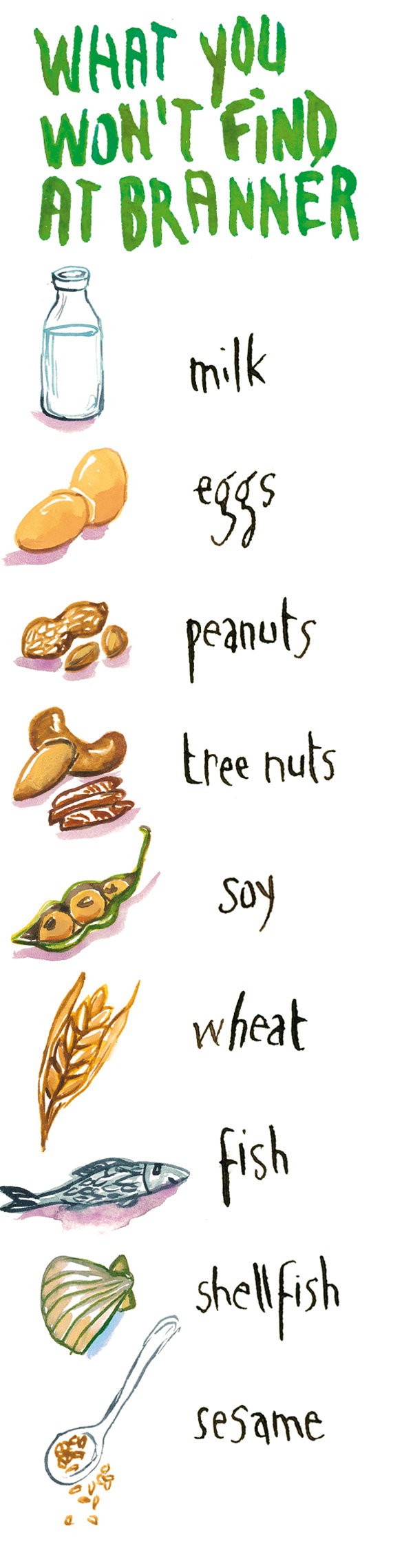 Illustrated list of common food allergens: milk, eggs, peanuts, tree nuts, soy, wheat, fish, shellfish, and sesame.