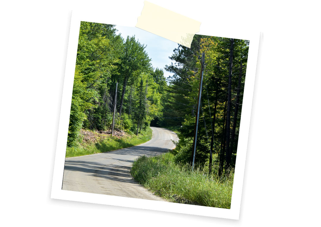 Road with trees in Vermont